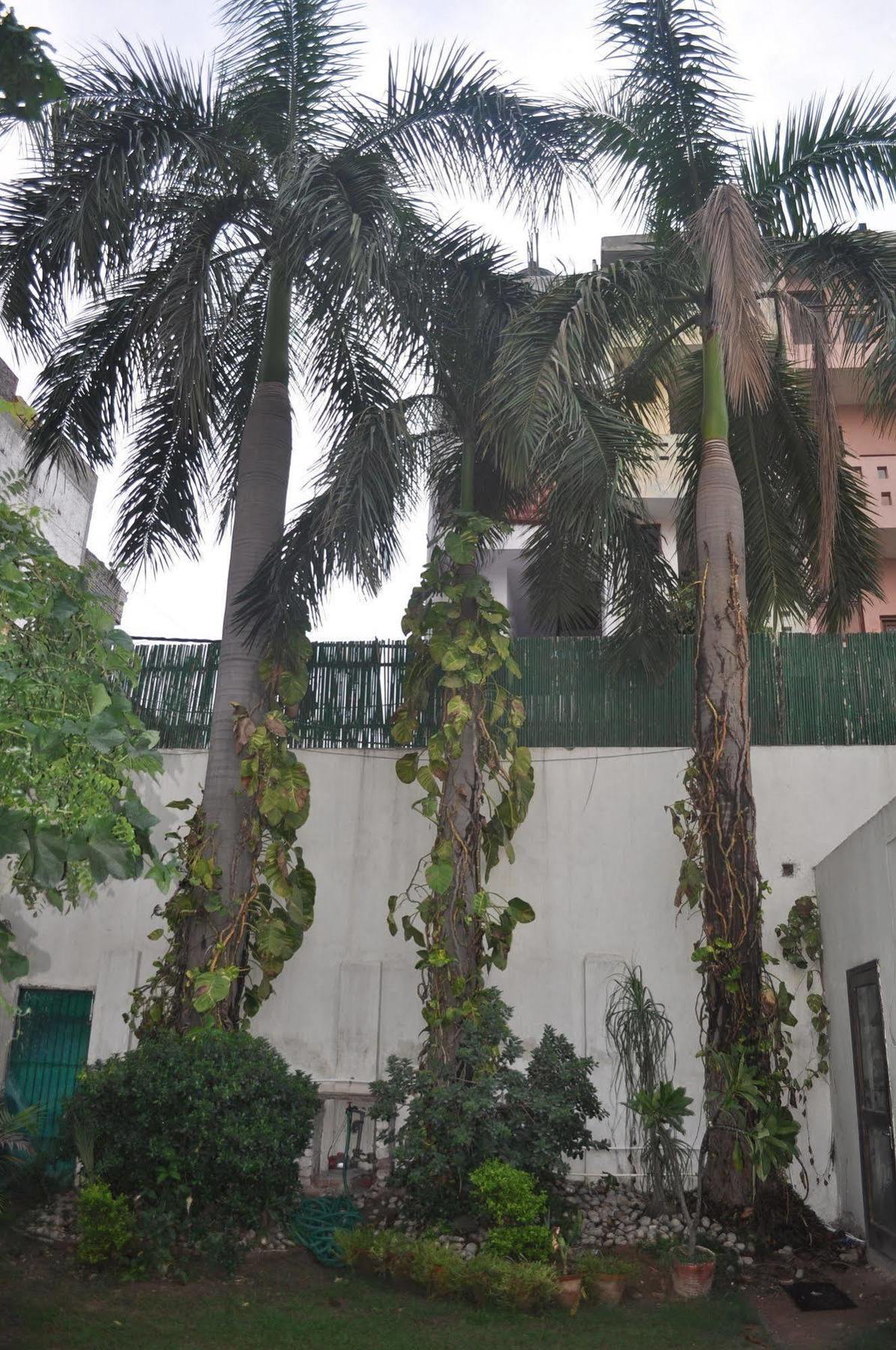 Hotel Kabli New Delhi Exteriör bild