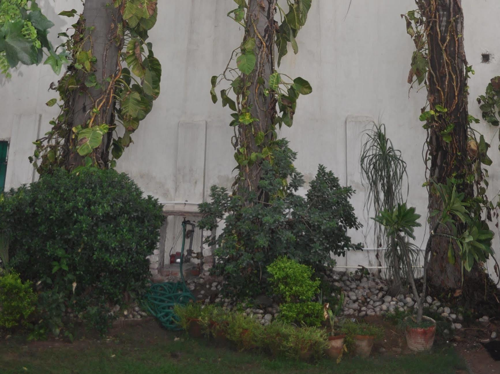 Hotel Kabli New Delhi Exteriör bild